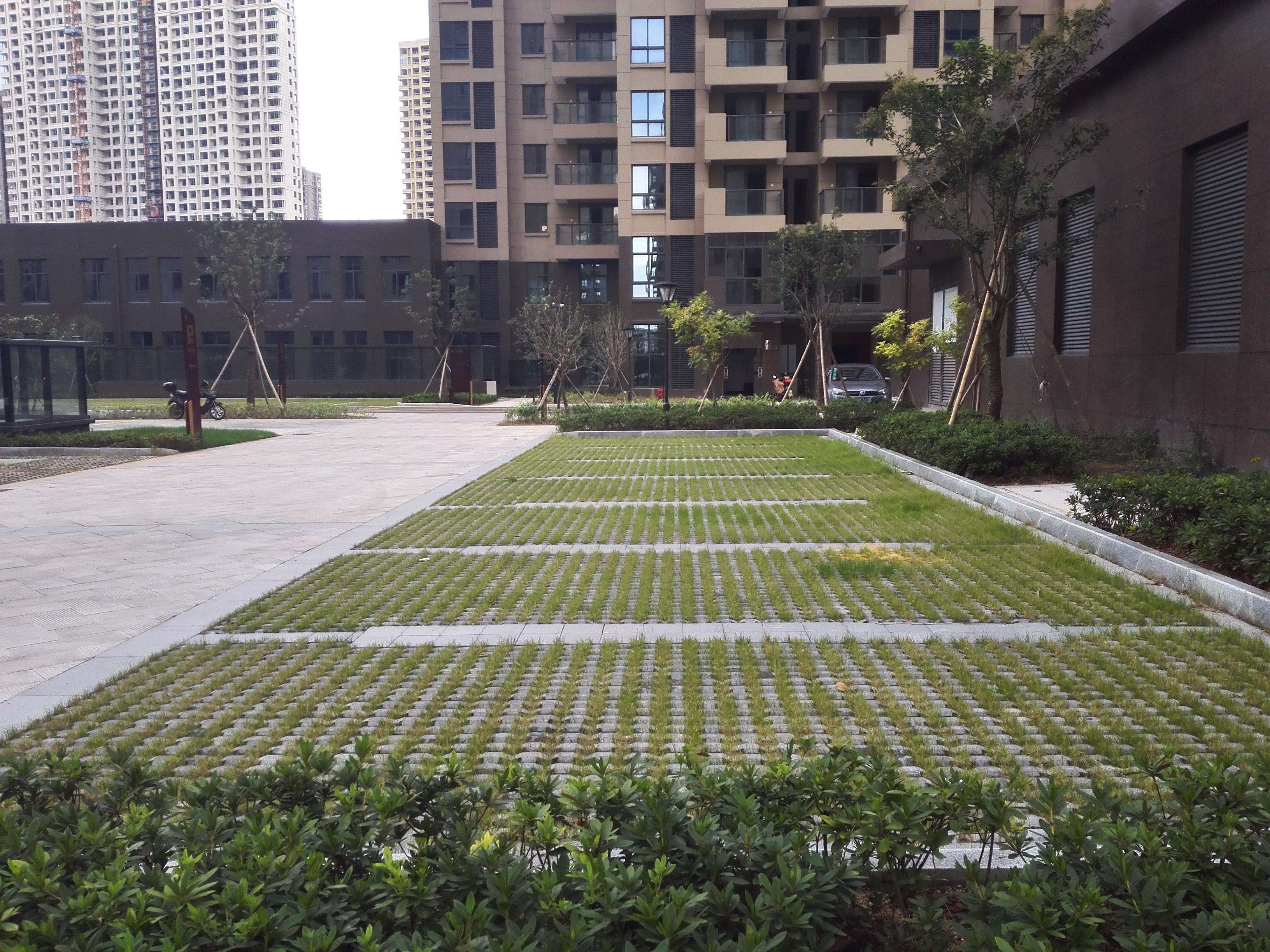 顶级贵宾会登录